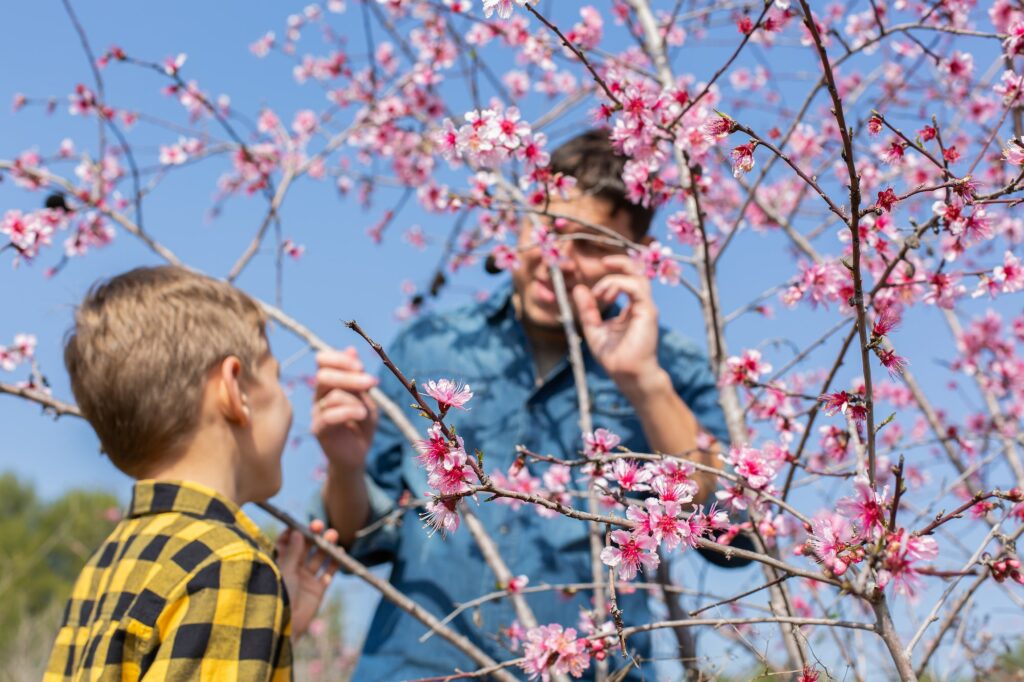 Young farmer with his son checking blooming almond tree during springtime
