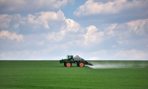 Tractor spraying green wheat field. Agricultural work